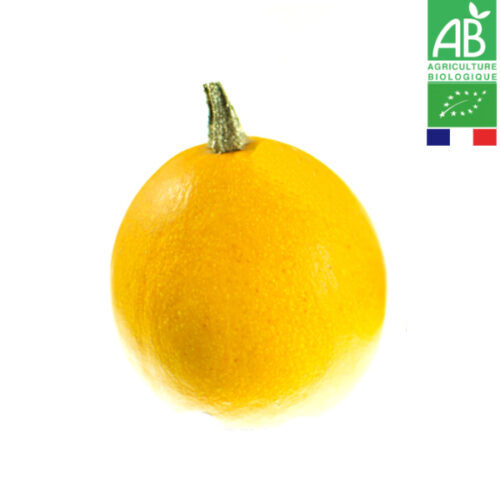 Courge Pomme d'Or Bio