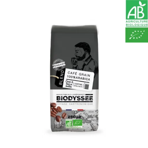 Café 100% arabica grain corsé 12x250g Biodyssée