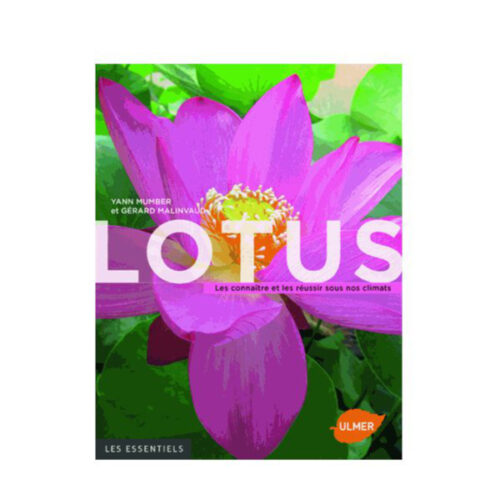 Lotus ULMER "Les essentiels"