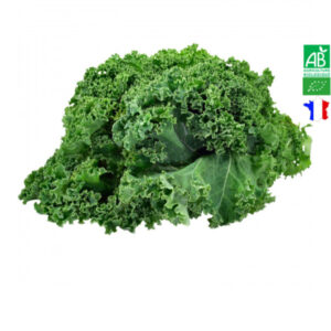 Choux Kale Bio