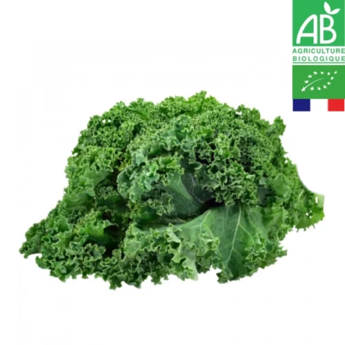 Choux Kale Bio 1kg