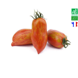 Tomate Orange Striped Roman Bio de Population Tomate Orange Striped Roman Bio de Population