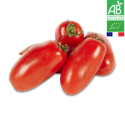 Tomate Allongée Bio